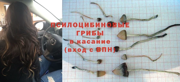 ECSTASY Алексеевка