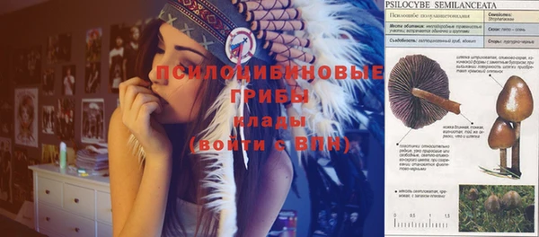 ECSTASY Алексеевка