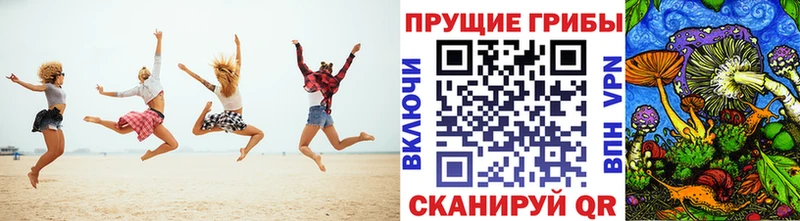 цена наркотик  Дюртюли  Псилоцибиновые грибы Cubensis 